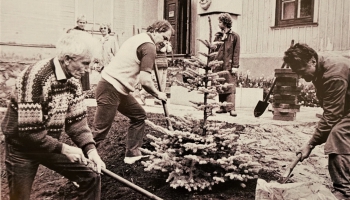 Vai zini, ka Ojāra Vācieša muzeja pagalmā aug sudrabegle, ko stādījis Imants Ziedonis?