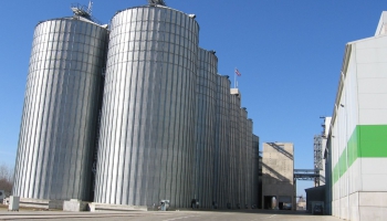 IKP: kādu pienesumu valsts ekonomikai dod lielie uzņēmumi Dobeles novadā