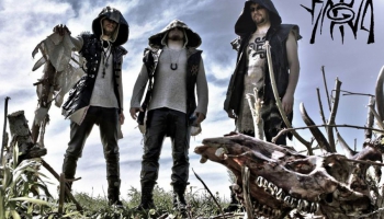 Viesos grupa Darrva