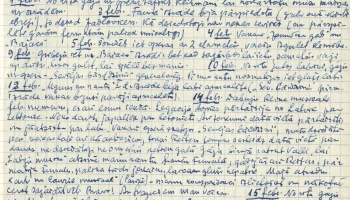 "ChatGPT” var apmācīt par sklandraušu ekspertu: MI rīki palīdz pētniekiem