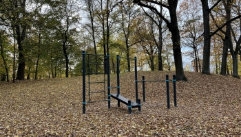 Laipa, bērnu laukumi vai skeitparks: vēlamie labiekārtojumi Rīgas apkaimēs