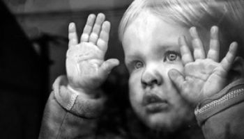 За год обжаловано менее 1 процента решений сиротского суда 