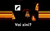 vai zini