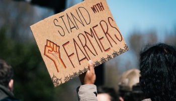 Протесты фермеров: чего они хотят на самом деле?