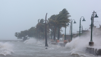 Aug viesuļvētras «Irma» upuru skaits; brīdina par divām jaunām tropiskajām vētrām