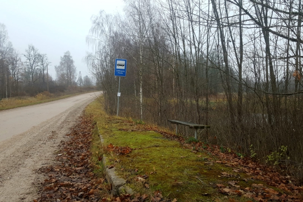 Īstenības izteiksme 15 minūtēs