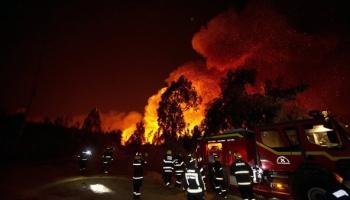 Не выбрасывайте горящую елку в окно: типичные ошибки во время праздничных чп   