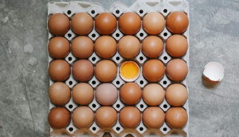 Olas dētas kūtī vai sprostā – dienests pārbauda hibrīdrisinājumus "Alūksnes putnu fermā"