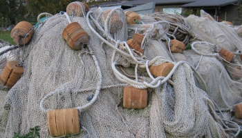 Piekrastes zveja īpaši aizsargājamās jūras teritorijās varēs turpināties kā līdz šim