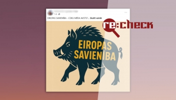 Re:Check: Āfrikas cūku mēris Latvijā nav ievazāts apzināti