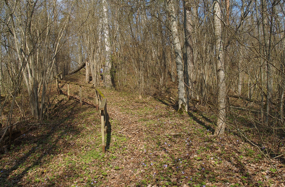 cirīša ezers, Upursala