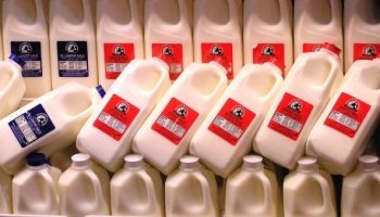 LKIC vadītājs: Piena tirgū iestājusies stabilitāte, bet ar tendenci uz nelielu pieaugumu