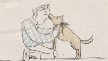 Ineses Zanderes garstāsts "Puika ar suni. Stāsts par nosargātu noslēpumu"