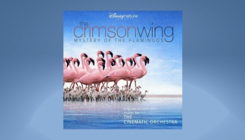 "The Cinematic Orchestra" mūzika filmai "The Crimson Wing" (2008)