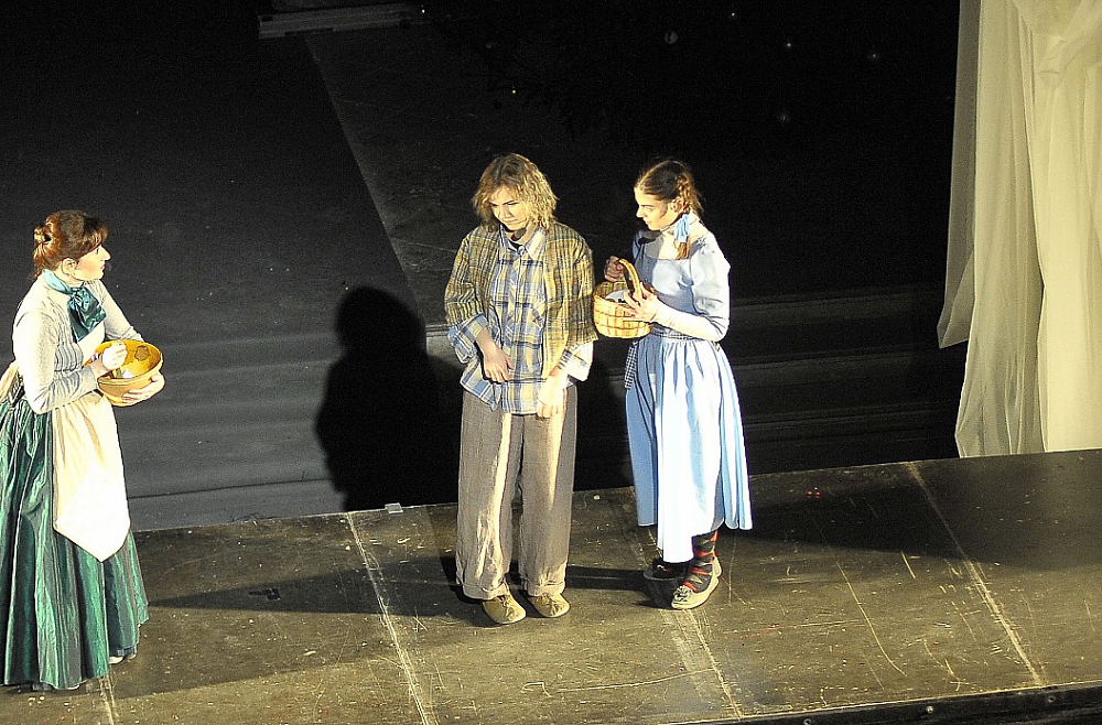 gailis zilo putnu meklējot