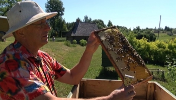 Vecpiebalgas bitenieks: Pavasara medus raža rekordagra, tālāko grūti paredzēt