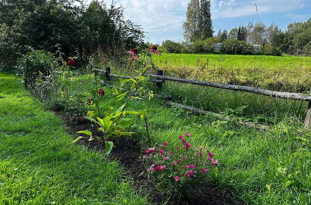 Bērzkalniņi, lauki, Julija Hansen, Chris Oram