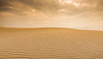 Tuksnesis: pieredze, dzīvojot reālā tuksnesī, un kā  ļaut uzziedēt mūsu iekšējam tuksnesim