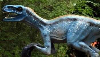 Ja nebūtu bijušas masveida izmiršanas Zemes vēsturē, vai arvien mēs sastaptu dinozaurus?