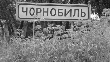 Vai zini, kāds augs ukraiņu valodā ir "čornobiļ"?