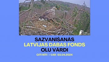 #149 | Sazvanīšanās, Latvijas Dabas fonds, Olu vārdi