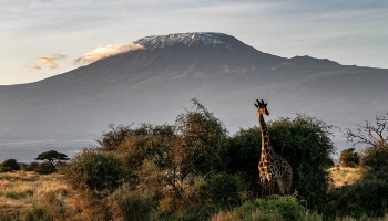 Килиманджаро. Путешествие на "крышу Африки"