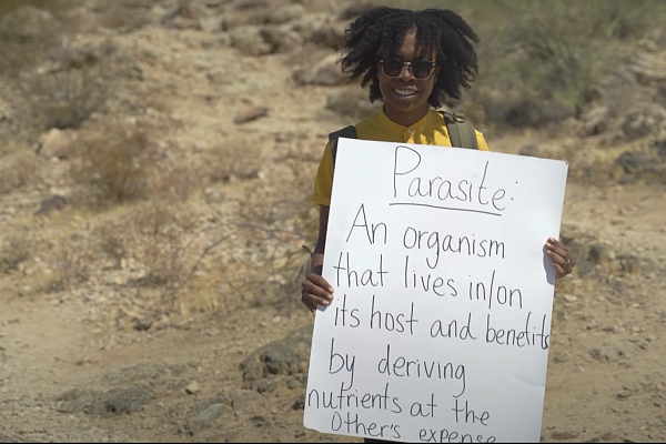 Festivāls un pandēmija Festivāls un pandēmija