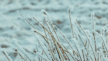 Svētrīts. Studijā mācītājs Ivars Jēkabsons