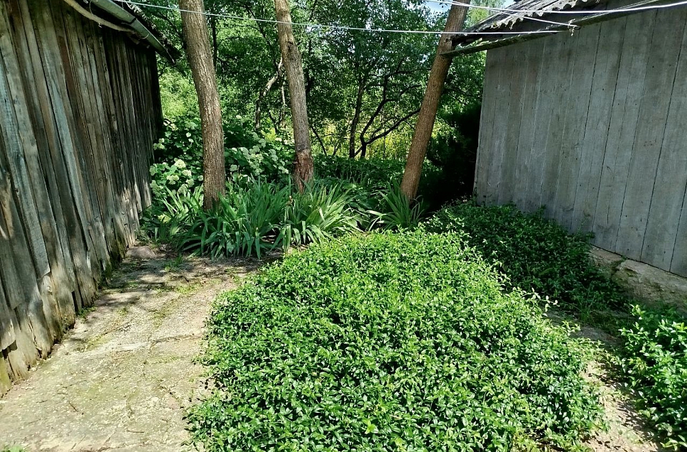 Жанна Вагале