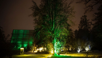 LU Botāniskajā dārzā apskatāma audiovizuālā ziemas pastaiga "Gaisma tumsā"