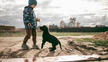Mājdzīvnieka loma ģimenē:  kad pakļauties bērna kvēlajai vēlmei - gribu sunīti