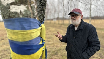 Ojārs Feldbergs no akmeņiem veido vides mākslas objektu ansambli - piemiņas zīmi Ukrainai