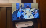 kubilis silins zemdega zigfrīds anze dumpis
