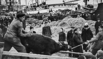 Unikāla pagaidām nezināma autora fotoliecību izstāde skatāma Ojāra Vācieša muzejā