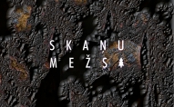 skaņu mežs