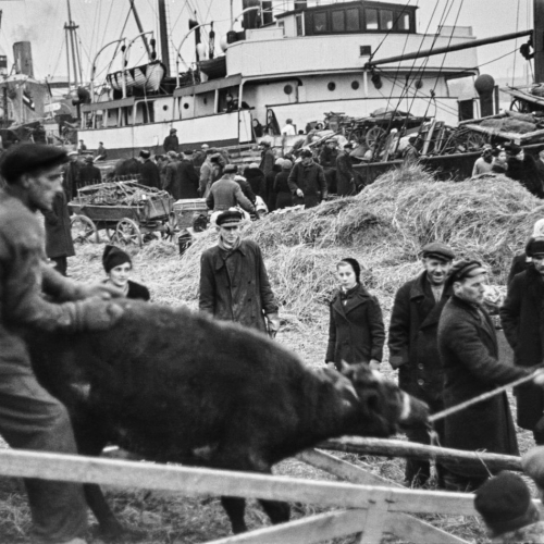 Unikāla pagaidām nezināma autora fotoliecību izstāde skatāma Ojāra Vācieša muzejā