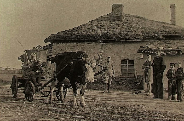 vai zini geka sibīrija