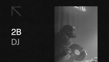 Noslēpumains viesis