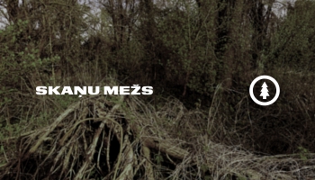 Skaņu Mežs (29042025) ar Ģirtu Reiniku