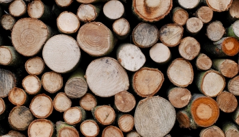 Как выросший спрос на древесину отразился на мебельной отрасли в Латвии