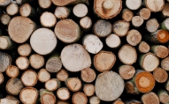 "Rīgas meži" pametīs konkurenci kropļojošo apaļkoku pārstrādes biznesu
