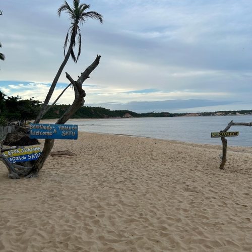 CFMB#383 - Vasara Skan