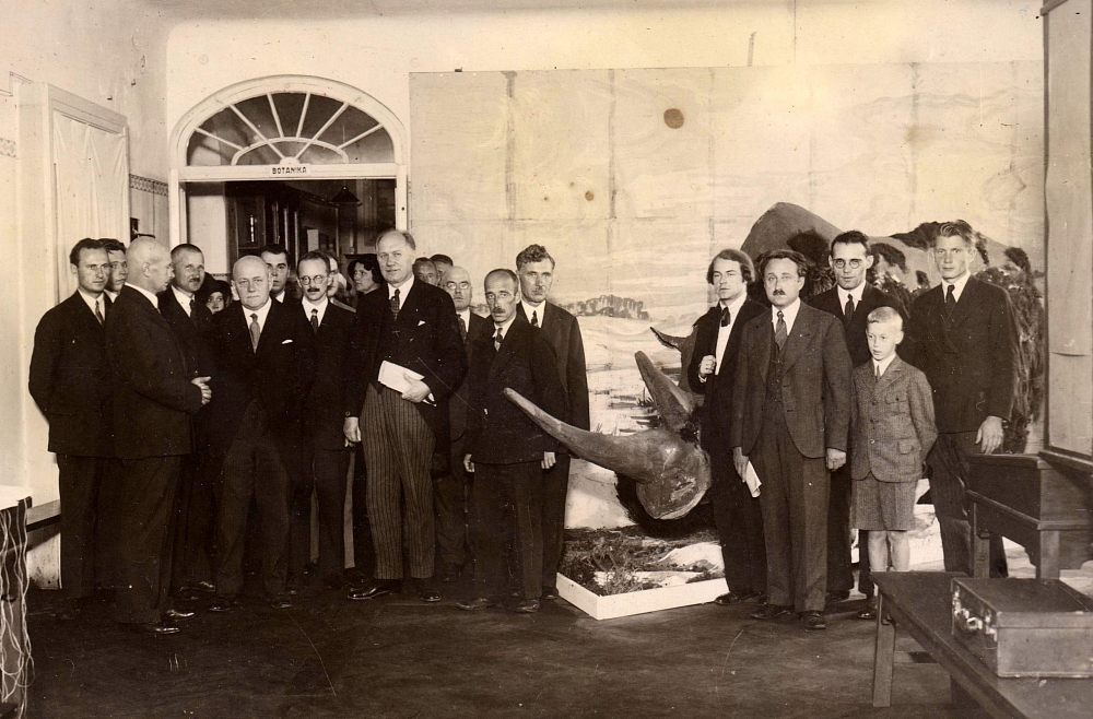 vai zini spalvainais degunradzis