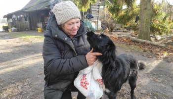 Волки или медведь? Нападения на домашних животных беспокоят жителей Латгалии