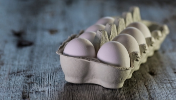 Яйца в нашем рационе: какая от них польза?