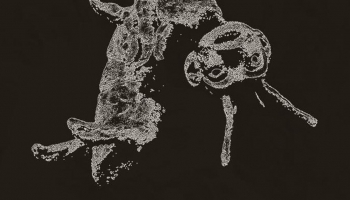 Metamorfoze: Kafka Liepājas Leļļu teātrī
