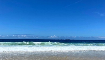 CFMB#391 - Rudens Skan