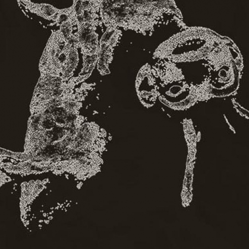 Metamorfoze: Kafka Liepājas Leļļu teātrī