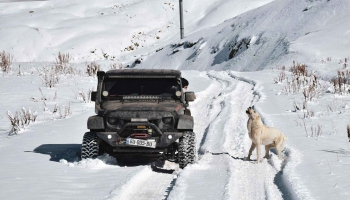 Kuri jākar pie lielā zvana - lēnie jeb steidzīgie autobraucēji?