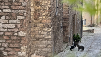 2025. gada albumu apskats un mūzikas jaunumi 